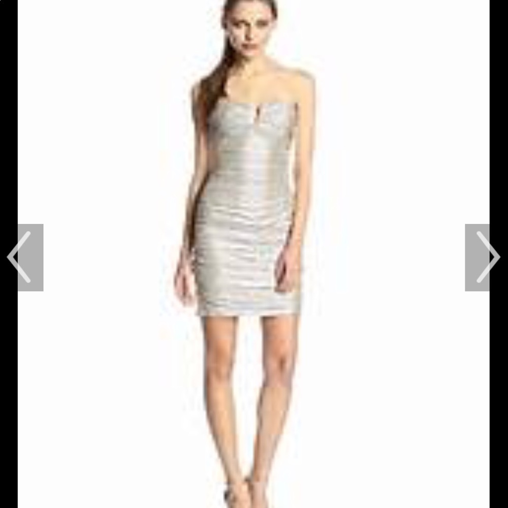 Hailey Adrianna papell dress
